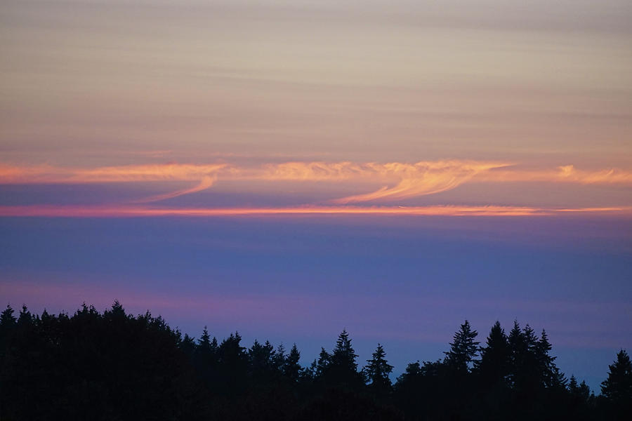 Salish Sea at dusk Photograph by Chris Langley - Fine Art America