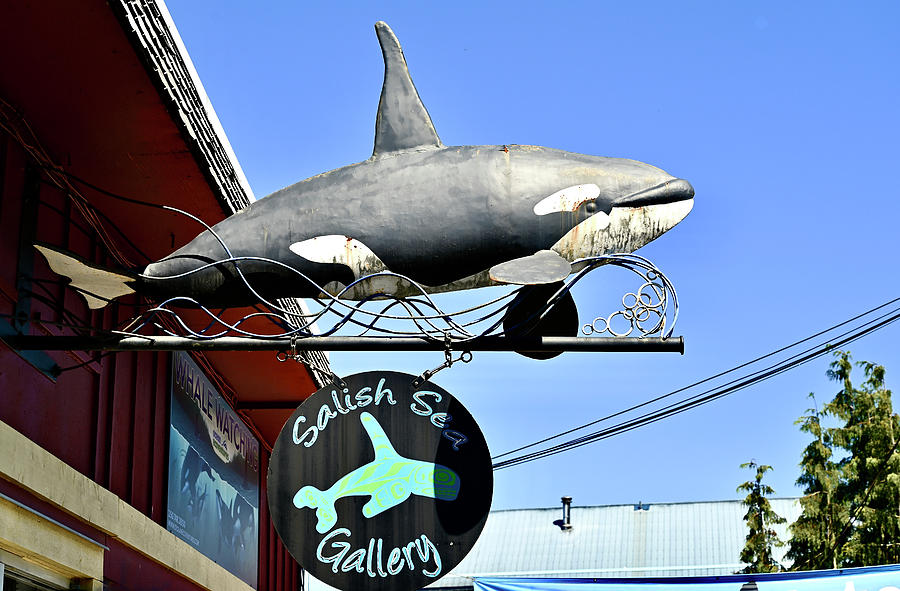 Salish Sea Gallery Sign Cowichan Vancouver Island. Pastel by Brian Sereda