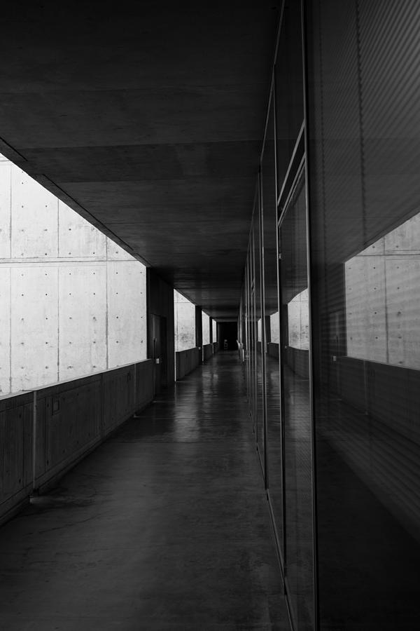 Salk Institute Framed Art Prints for Sale - Fine Art America