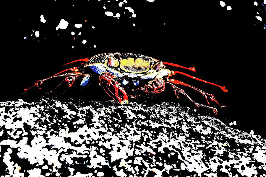 Sally Lightfoot Crab Portrait Digital Art by Bruce Block