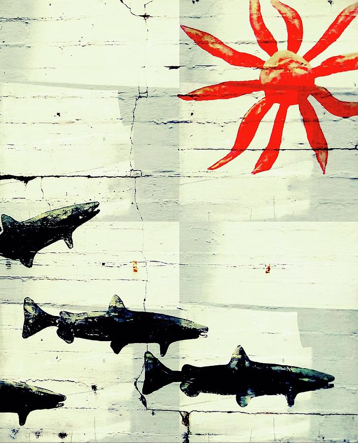 Salmon and Sun Wall Graffiti  Photograph by Kathy Barney