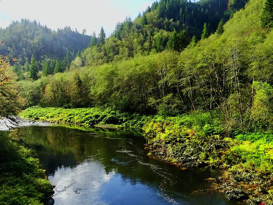 Salmon fishing along the Nehalem River  Photograph by Brent Bunch