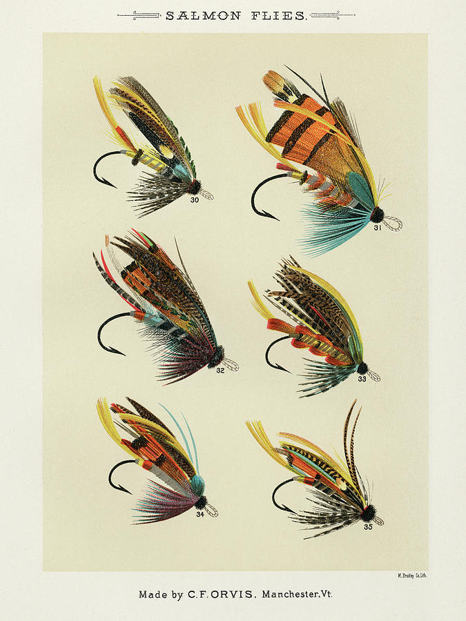 Sports Drawing - Salmon Fishing Flies I from Favorite Flies and Their Histories by Mary Orvis Marbury