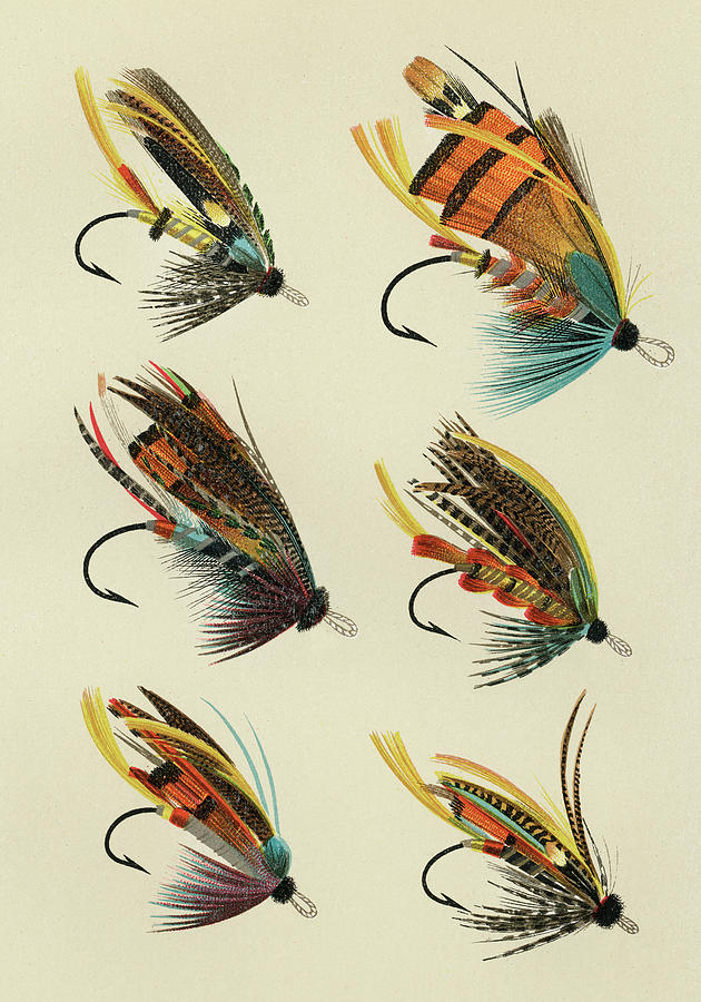 Salmon Flies 2 Favorite Flies and Their Histories Mixed Media by Movie Poster Prints