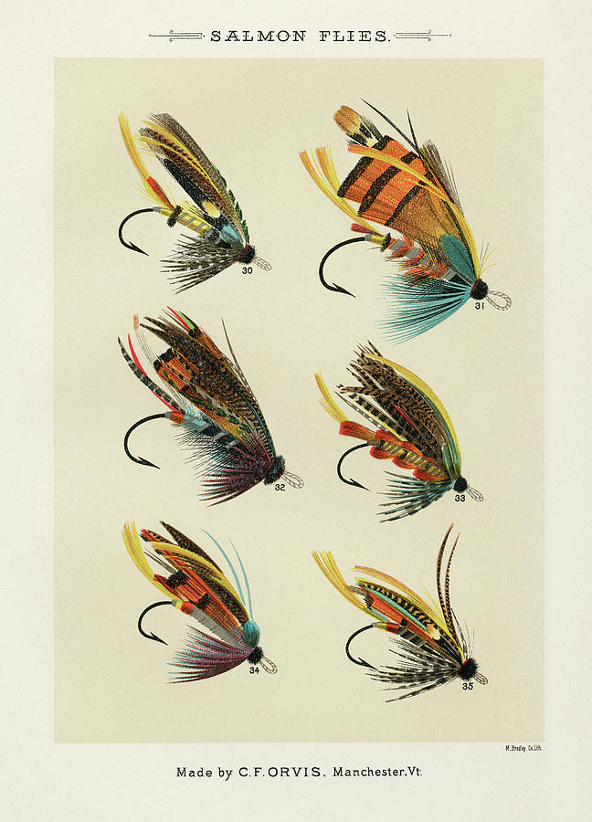 Salmon Flies 2 -Vintage Fishing Flies Illustration Digital Art by