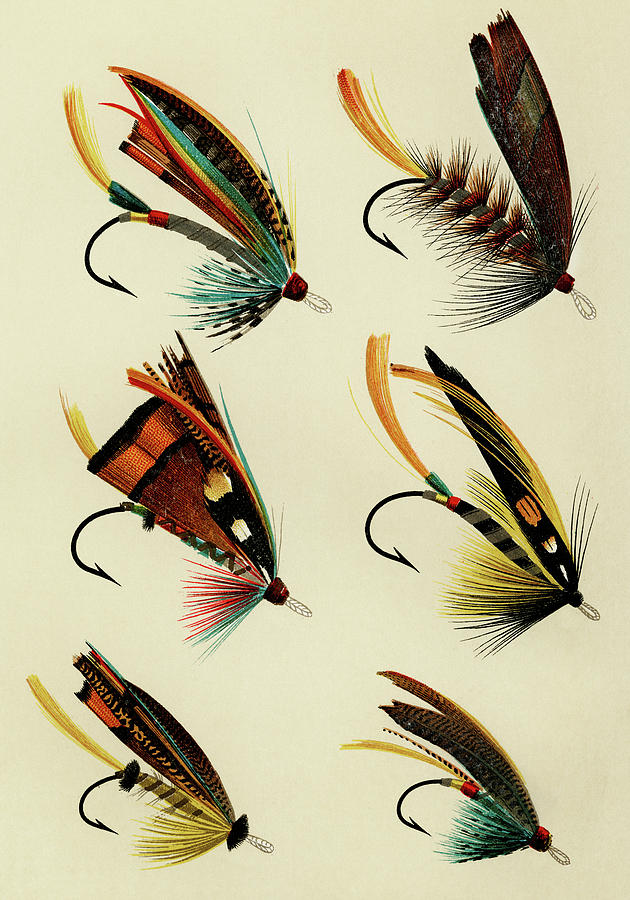 Salmon Flies 3 Favorite Flies and Their Histories Mixed Media by Movie Poster Prints