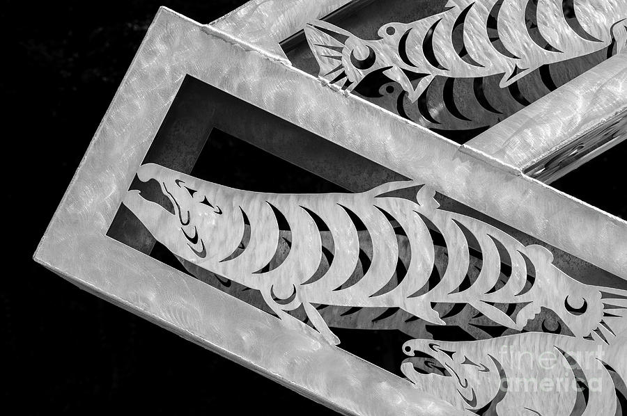Salmon Ladder Sculpture by Artist James Madison Photograph by Jim Corwin