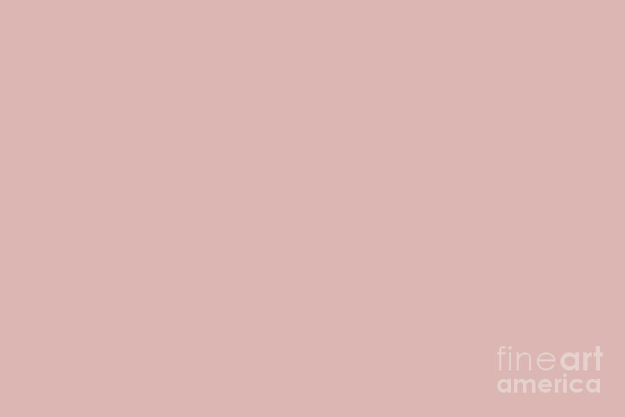 Salmon Pastel Pink Solid Color All Colour Single Shade Matches