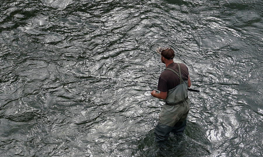 Salmon Run Photograph by William Moore Fine Art America