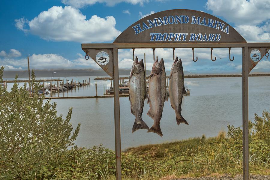 Oregon Salmon Season Photograph by Chuck Overton Fine Art America