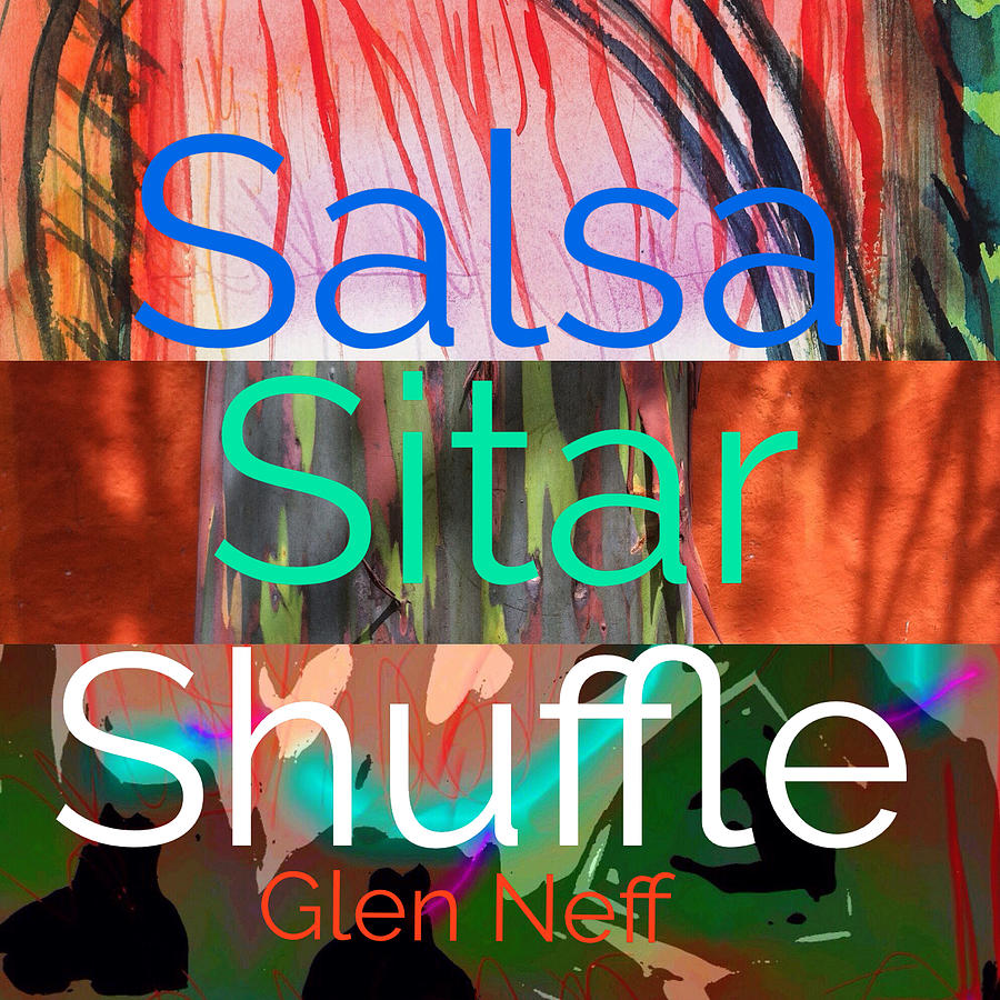 Salsa Sitar Shuffle Mixed Media by Glen Neff