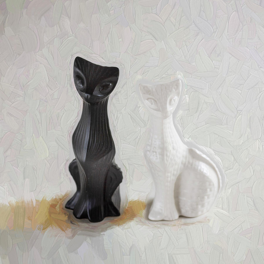 Salt and Pepper Shakers 128 Photograph by Rich Franco