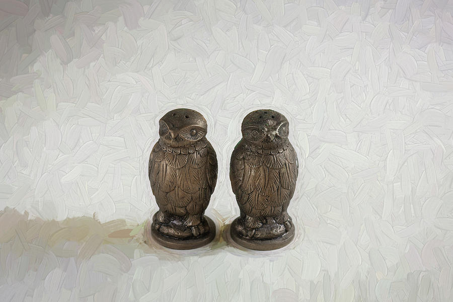 Salt and Pepper Shakers 132 Photograph by Rich Franco