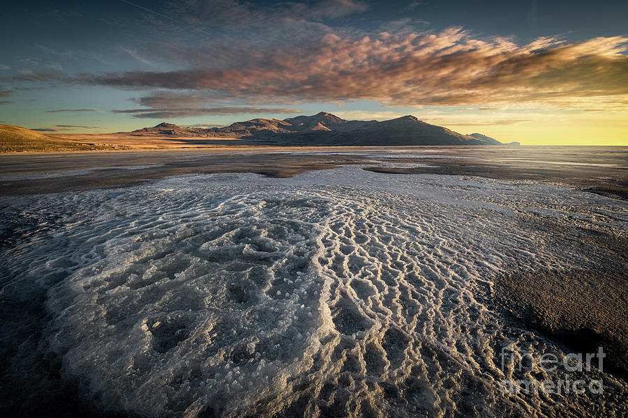 Salt and Sunsets Photograph by Jami Bollschweiler