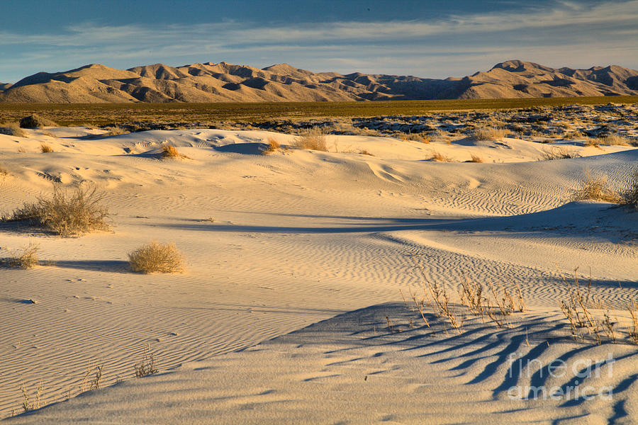 Salt Basin Dunes Afternoon Shadows At Guadalupe Mountains National Park Photograph by Adam Jewell