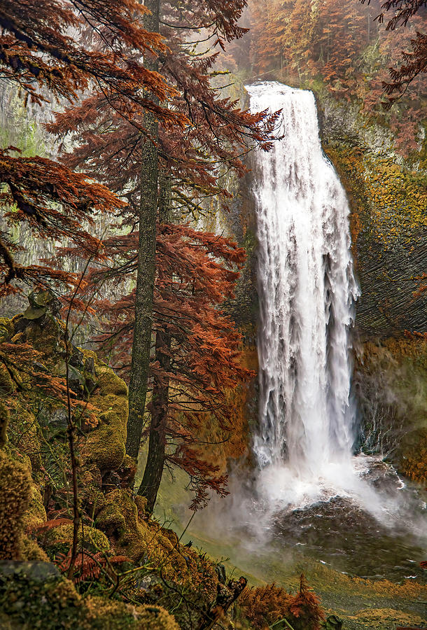 Salt Creek Falls #2 Photograph by Gordon Ripley