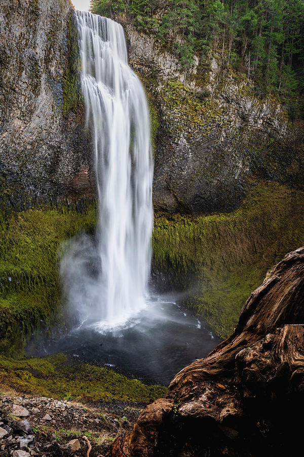 Salt Creek Falls 3 Photograph by Ryan Weddle