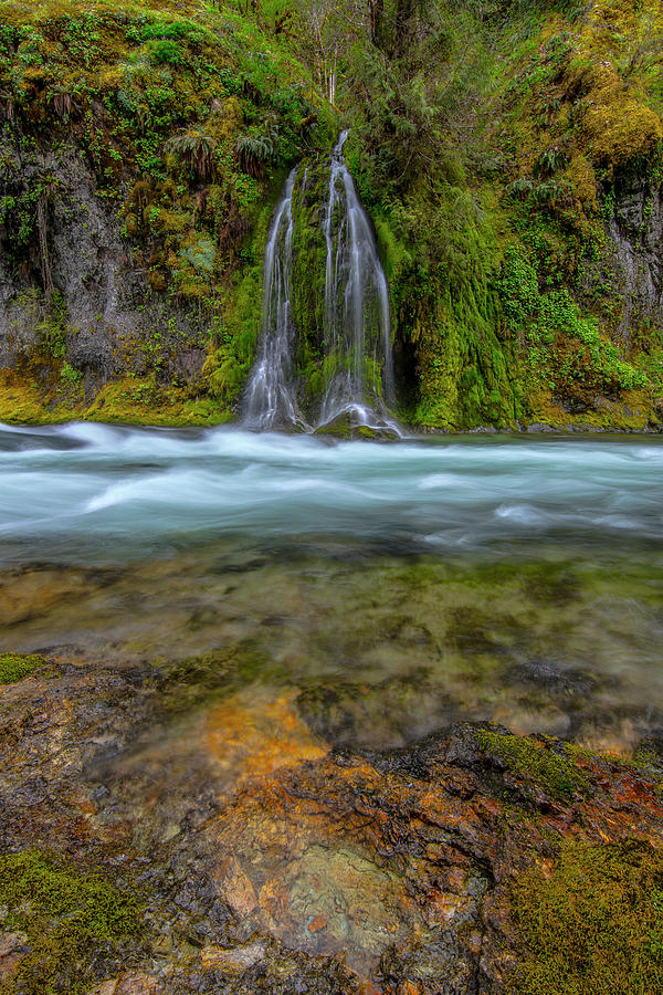 Salt Creek Falls at Salmon Creek No 3 Photograph by Matthew Irvin