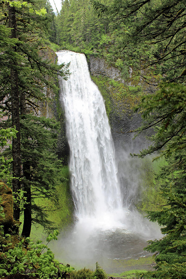 Salt Creek Falls Photograph by Doug Boucher - Fine Art America