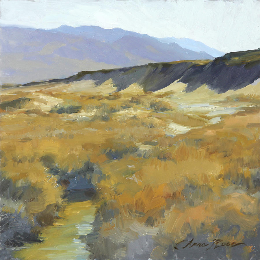 Death Valley National Park Painting - Salt Creek Plein Air by Anna Rose Bain
