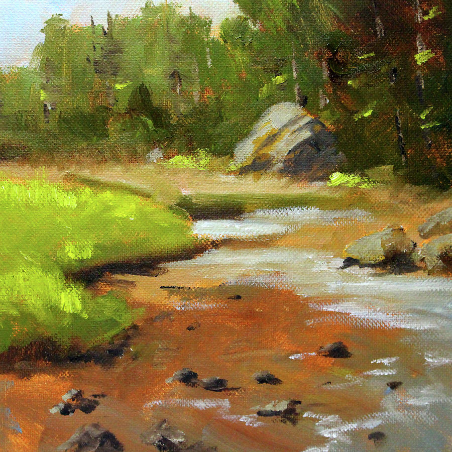 Salt Creek Shore Painting by Nancy Merkle