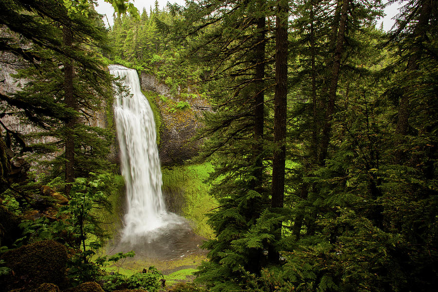 Salt Creek falls Photograph by Joe Klune - Fine Art America