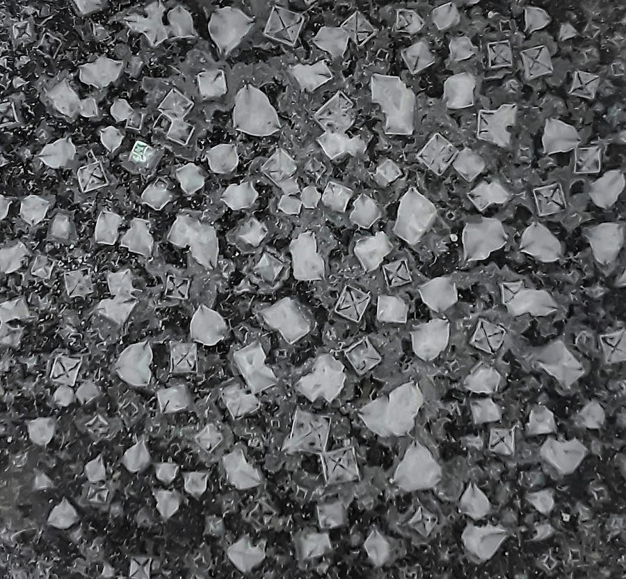 Salt Crystals  Photograph by Flees Photos