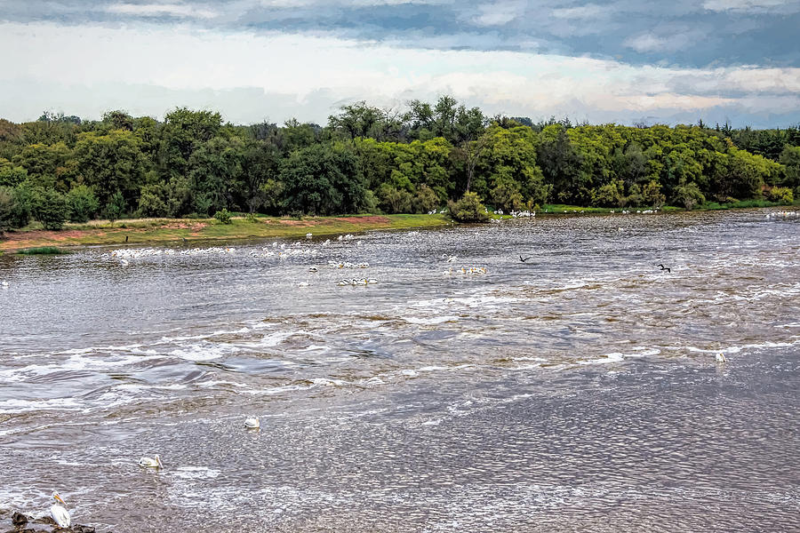 Salt Fork of the Arkansas River Photograph by Debra Martz