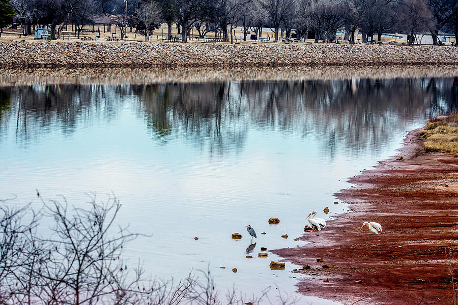 Salt Fork of the Arkansas River in Oklahoma Photograph by Debra Martz