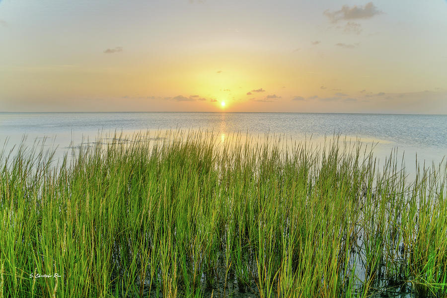 Salt Grass Sunset Photograph by Christopher Rice