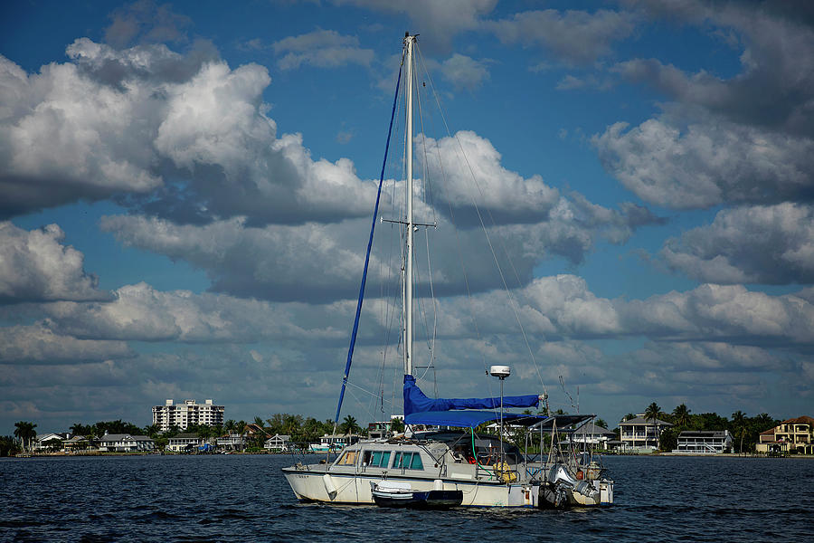 Salt Life Photograph by Mary Pawlowski - Fine Art America