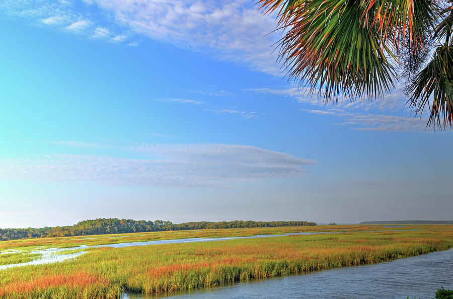 Salt Marsh In Early MorningHilton Head SC Photograph By William Reagan