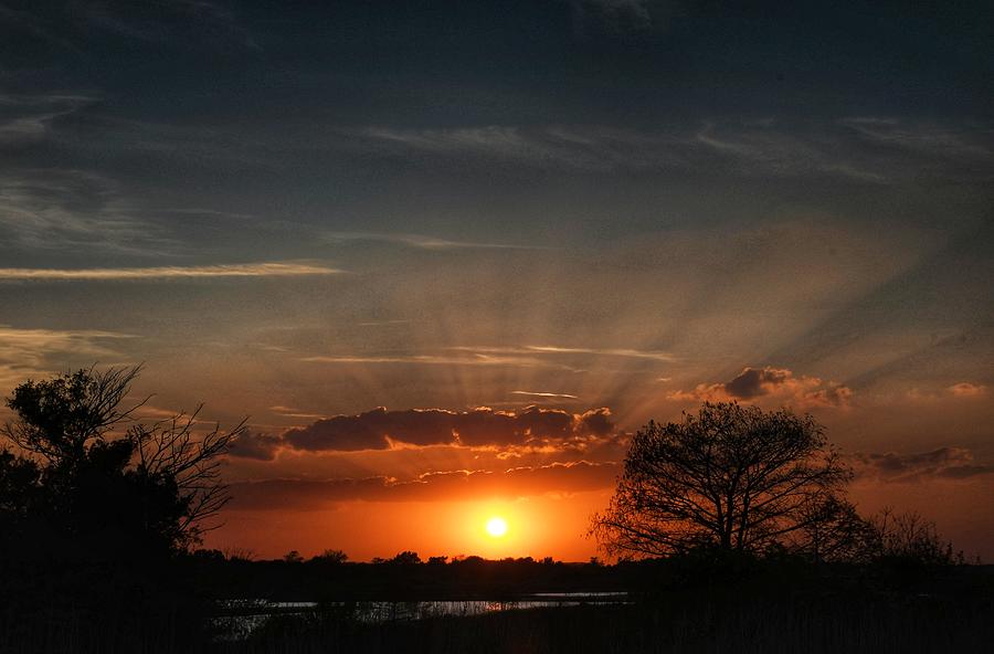 Salt Marsh Sunset Photograph by April Tanner Fine Art America