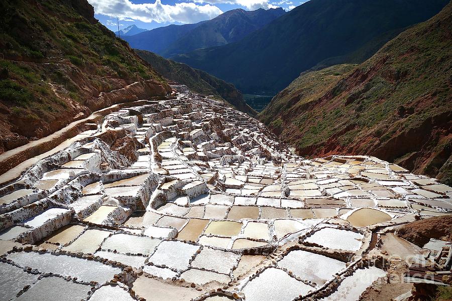 Salt of the Earth Photograph by Lucas Martin - Fine Art America