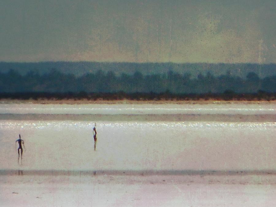 Salt People of Lake Ballard Photograph by Louise Merigot - Fine Art America