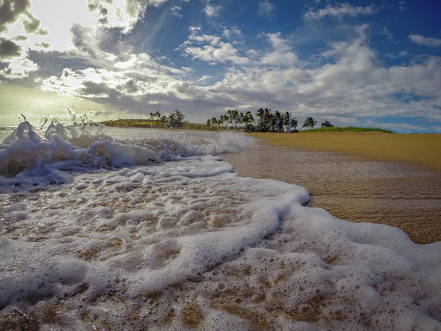 Salt Pond Kauai Photograph by Steven Lapkin