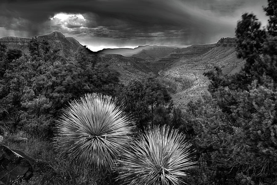 Salt River Canyon Storm in Black and White Photograph by Dave Dilli