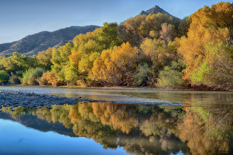 Salt River Fall Reflections Photograph by Dave Dilli