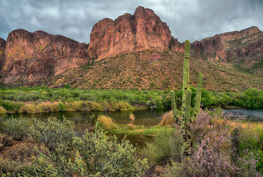 Salt River Mountain Reflections Photograph by Dave Dilli