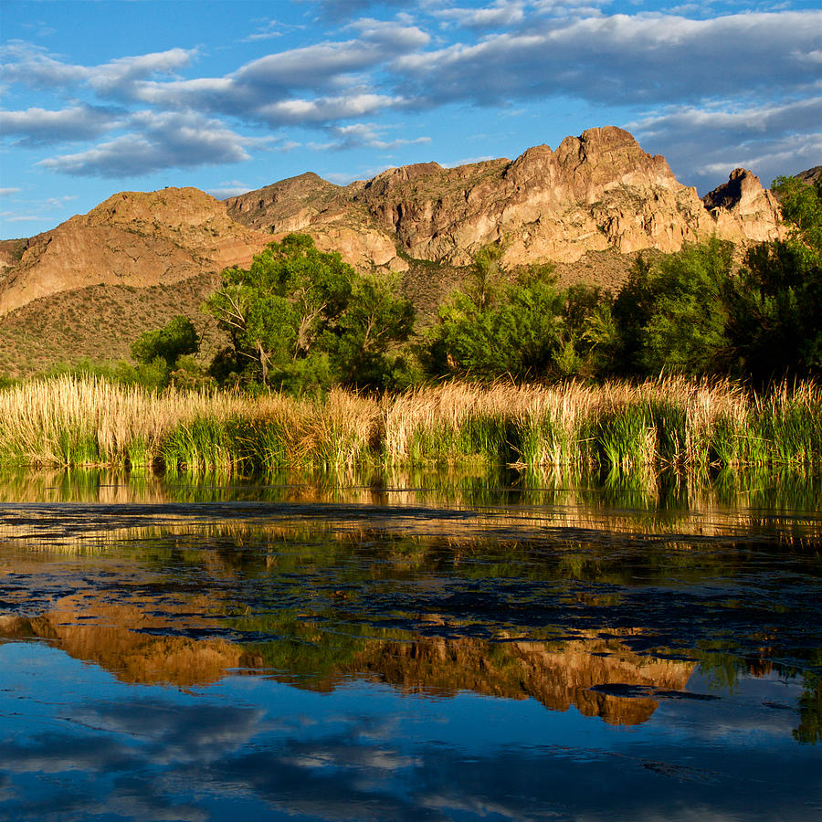 Salt River Reflections Photograph by Rudolf Volkmann | Fine Art America