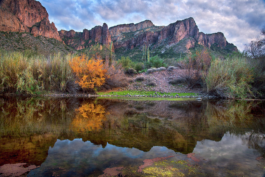 Salt River Sunset in the Fall Photograph by Dave Dilli