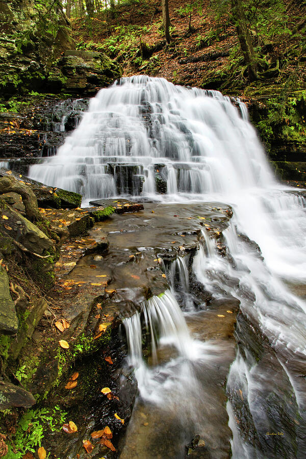 Salt Springs Waterfall Photograph by Christina Rollo