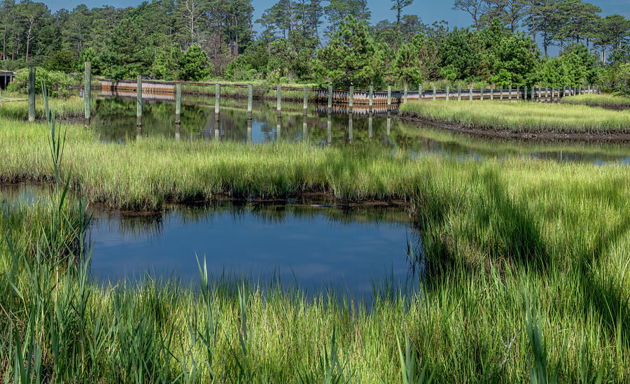 Saltwater Marsh Landscape, Chincoteague Island Photograph by Marcy Wielfaert