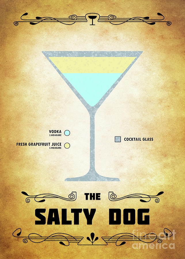 Salty Dog Cocktail - Classic Digital Art by Bo Kev