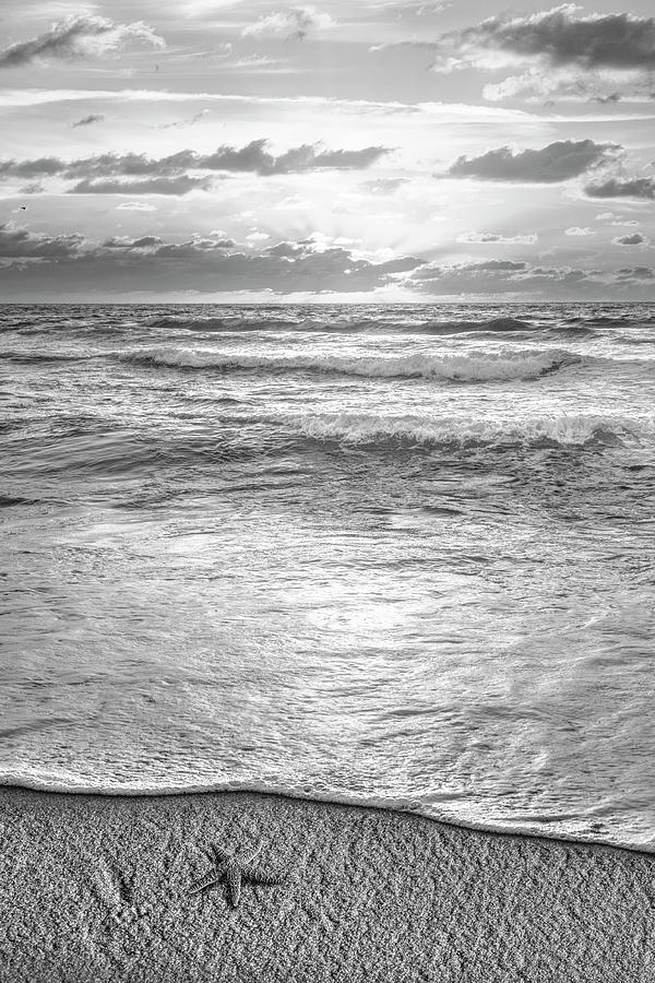 Salty Silver Light Photograph by Debra and Dave Vanderlaan