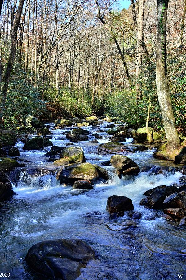 Saluda River At Jones Gap State Park South Carolina Vertical Photograph ...