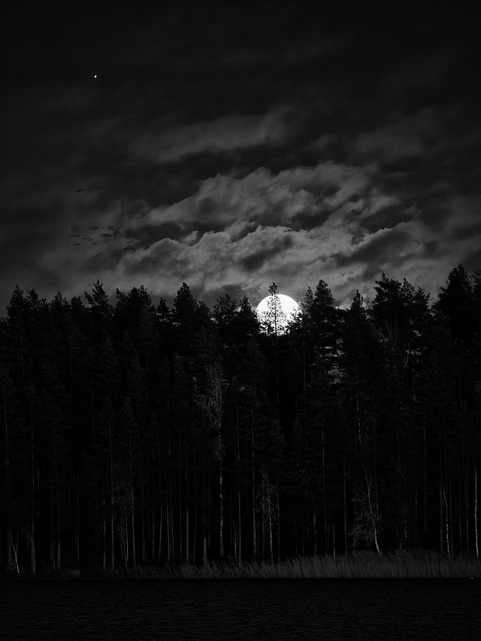 Saluting the rising moon bw Photograph by Jouko Lehto