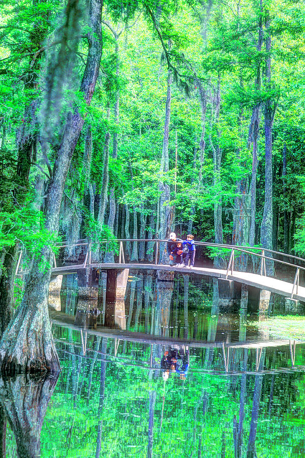 Escape to the Bayou: A Journey to Sam Houston Jones State Park