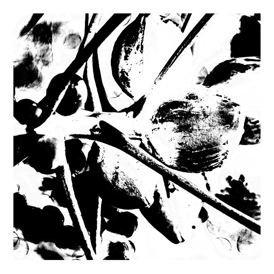 Samba Digital Art by Fran Hogan Samba Digital Art by Fran Hogan