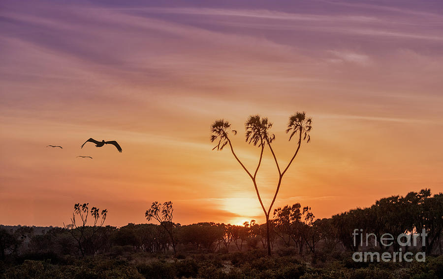 Samburu Sunrise Photograph